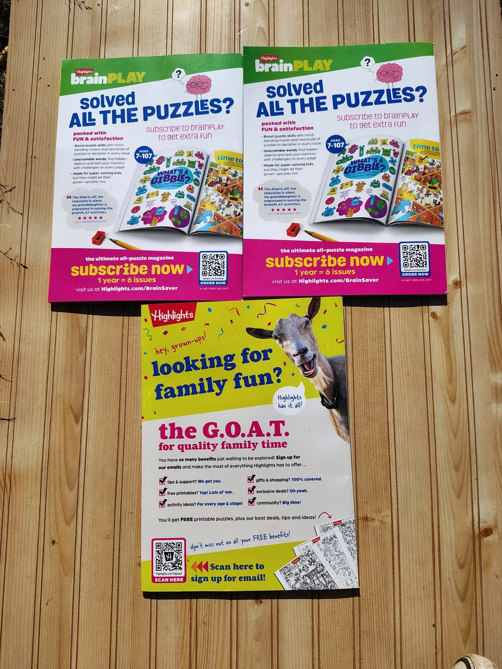 Hidden Pictures Activity Books - Multi-Color